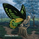 contemplation  cr