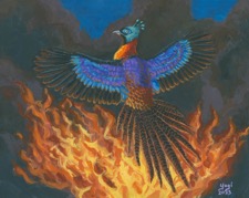 Phoenix