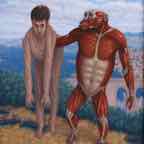 anatomical chimp w hide
