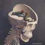 the Lizard part of my brain copyright