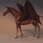 pegasus2jpeg.jpg