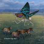 Equus-glazed-intensity-10-V1.jpg