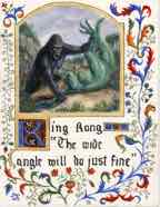 king kong 2 copy