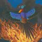 Phoenix.jpg