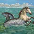 Hippocampus photo.jpeg