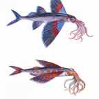 Squidfish_Final_6_inch cr