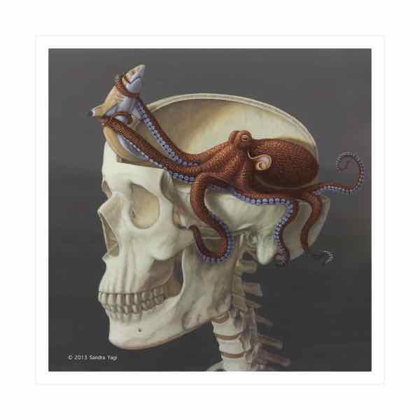 Octokull, archival inkjet print, Edition:  25, image:  16x16 - sheet 17x17		