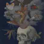 trepanation print cr