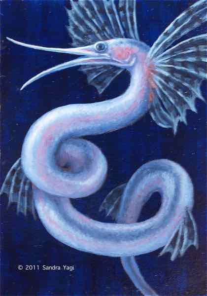Snipe Eel, Oil on panel, 2011, 5 x 7