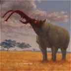 rhinobeetle2 cr