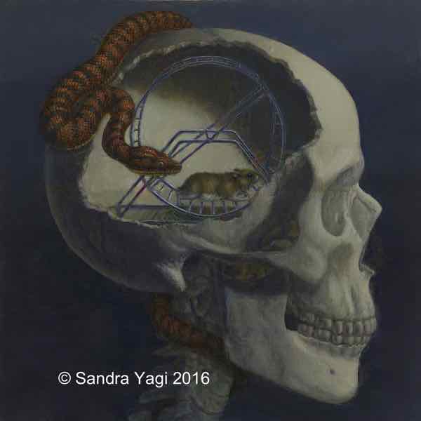 Skull with Hamster Wheel, oil on panel, 24x24, 2016