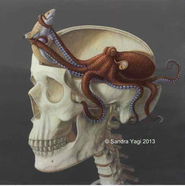 Anatomical Chimp with Hide - oil on panel 2011
