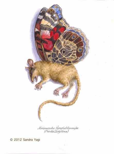 Painted Ladymouse, watercolor and ink, 2012 ,10.5x14 