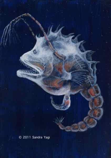 Mutant Anglerfish Daphnia, Oil on panel, 2011, 5 x 7 SOLD