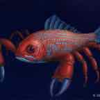 crabfish cr
