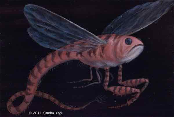 Mutant Rattail fish, Oil on panel, 2011, 5 x 7 SOLD