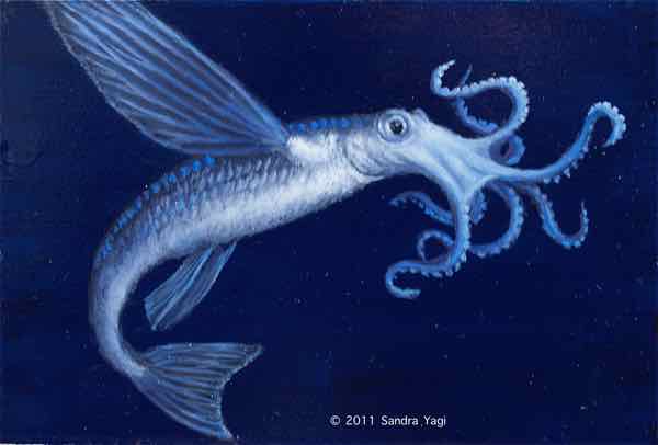 Flying Squidfish, oil on panel, 5 x 7, 2011 SOLD