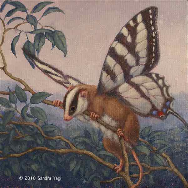Feathertail possum, oil on canvas, 6x6, 2010 SOLD
