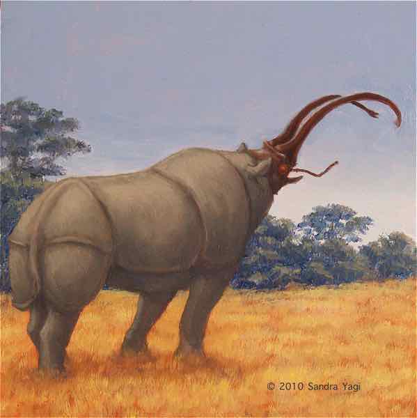 Rhinobeetle 1, oil on panel, 6x6, 2010 SOLD